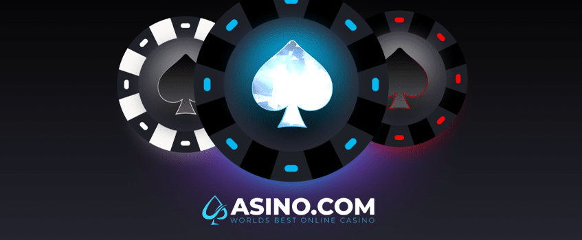 Asino.com