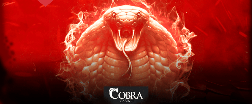 Cobra Casino